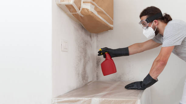 Professional Commercial Mold Remediation technician working in Hampton, TN